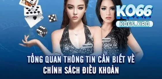 Điều Khoản Sử Dụng KO66 – Cập Nhật Đầy Đủ Nhất 2025 1 Tìm hiểu định nghĩa về Điều khoản sử dụng KO66 là gì?